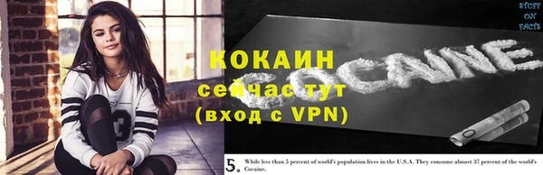 стафф Алзамай