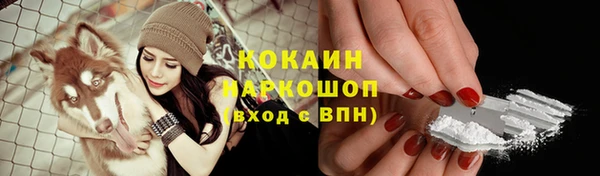 молекула духа Алексеевка