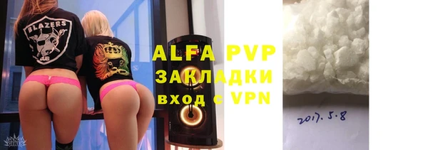 стафф Алзамай