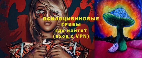 хмурый Алексин