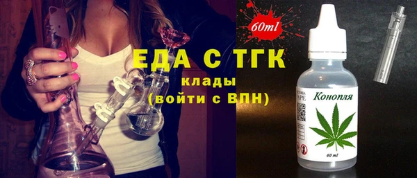хмурый Алексин