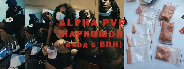 стафф Алзамай