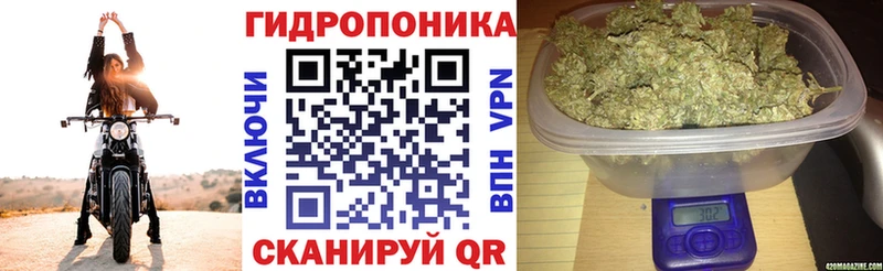 Конопля план  где найти наркотики  Покачи 